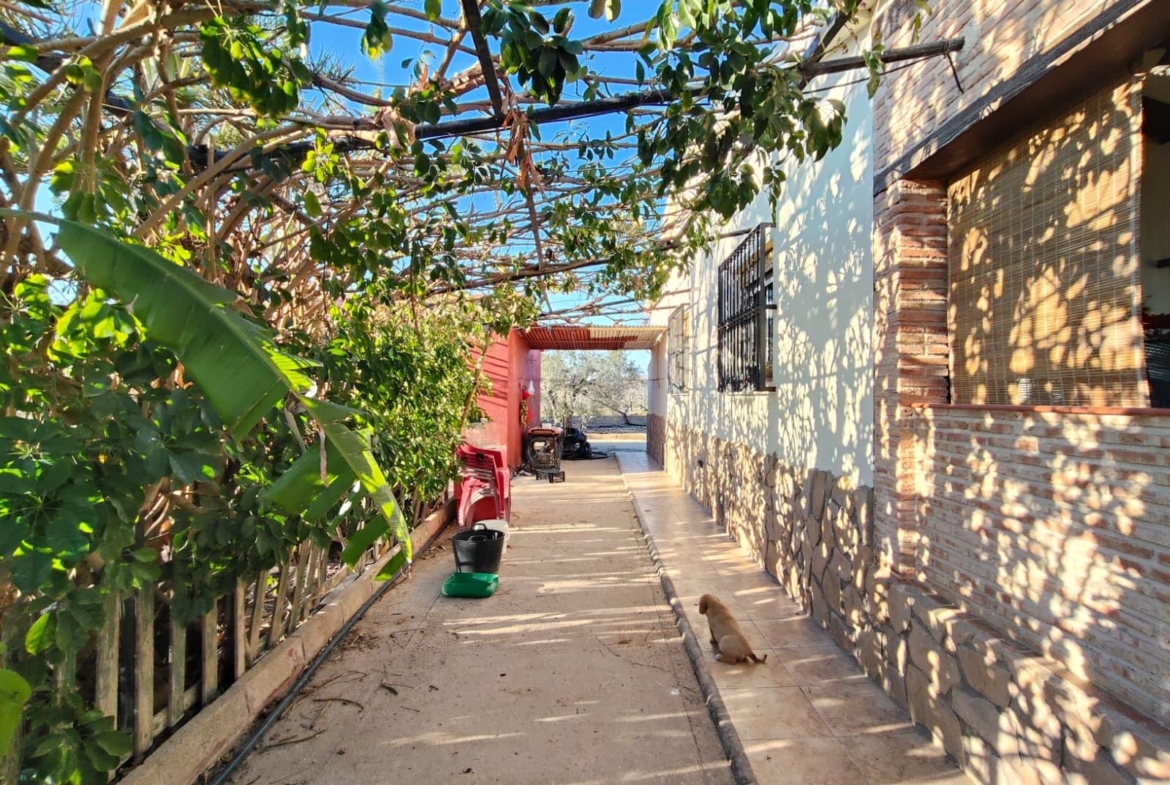1170